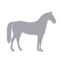 Reitplatzüberdachung